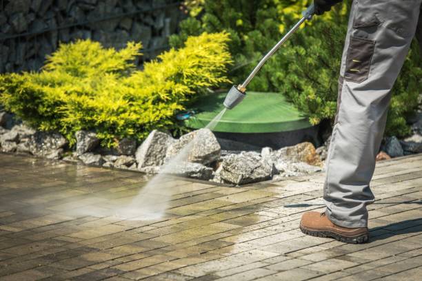 Best Soft Washing  in Exeter, CA
